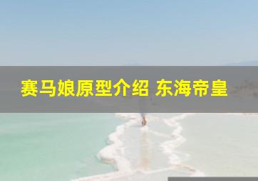 赛马娘原型介绍 东海帝皇